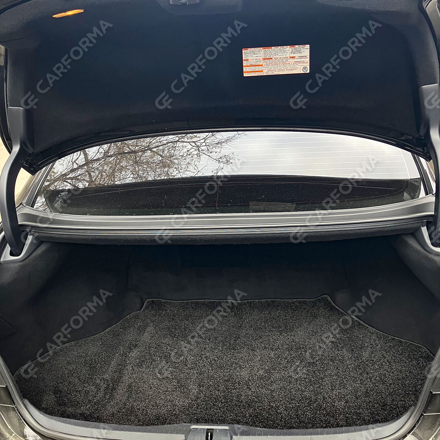 Ворсовые коврики на Lexus LS IV 2006&nbsp;-&nbsp;2017 в Пензе