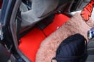 Ворсовые коврики на Toyota Mark II (100) 1996 - 2001 в Пензе