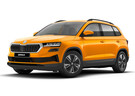 Коврики на Skoda Karoq 2017 - 2025 в Пензе