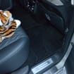 Коврики на Tank 500 2021 - 2025 в Пензе