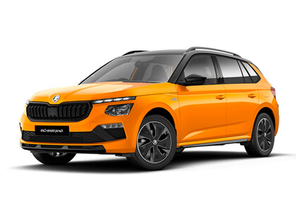 Ворсовые коврики на Skoda Kamiq (Европа) 2019&nbsp;-&nbsp;2026 в Пензе