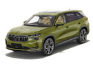 Ворсовые коврики на Skoda Kodiaq II 2023 - 2025 в Пензе