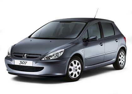 Коврики на Peugeot 307 2001 - 2008 в Пензе