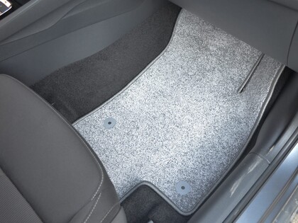 Ворсовые коврики на Audi Q2L 2016 - 2026 в Пензе Ворсовые коврики на Audi Q2L 2016 - 2026 в Пензе