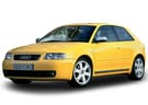 Коврики на Audi S3 (8L) 1999 - 2003 в Пензе