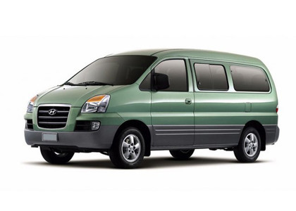 Коврики на Hyundai Starex 1996 - 2007 в Пензе
