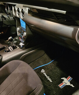 Ворсовые коврики на Ford Mustang VI 2013 - 2023 в Пензе Ворсовые коврики на Ford Mustang VI 2013 - 2023 в Пензе