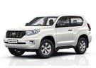 Ворсовые коврики на Toyota Land Cruiser Prado 150 2009 - 2023 в Пензе