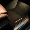 Коврики на BMW X5 (G05/G18) 2018 - 2025 в Пензе