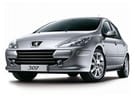 Ворсовые коврики на Peugeot 307 2001 - 2008 в Пензе