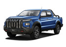 Коврики на JAC T9 2021 - 2025 в Пензе