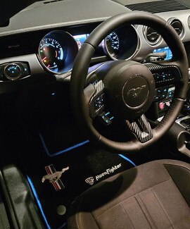 Ворсовые коврики на Ford Mustang VI 2013 - 2023 в Пензе Ворсовые коврики на Ford Mustang VI 2013 - 2023 в Пензе