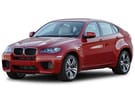 Коврики на BMW X6 (E71/E72) 2008 - 2014 в Пензе
