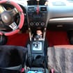 Ворсовые коврики на Subaru Forester IV 2012 - 2019 в Пензе