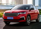 Ворсовые коврики на Skoda Kamiq 2018 - 2025 в Пензе