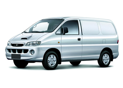 Коврики на Hyundai Starex 1996 - 2007 в Пензе