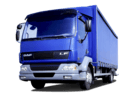 Коврики на DAF LF 2001 - 2025 в Пензе