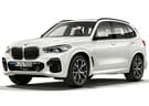 Коврики на BMW X5 (G05/G18) 2018 - 2025 в Пензе