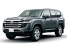 EVA коврики на Toyota Land Cruiser 300 2021 - 2025 в Пензе