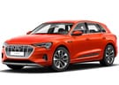 EVA коврики на Audi Q8 e-tron 2022 - 2025 в Пензе
