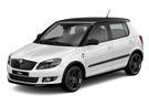 Ворсовые коврики на Skoda Fabia II 2007 - 2015 в Пензе